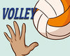 Volleyball24