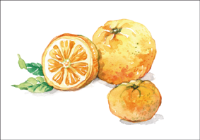 Solmodne appelsiner